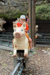 18.08.2026 Ausflug Jungschar und Ministranten